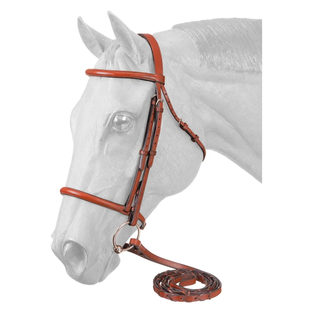 Tough-1 Premium Leather Raised Snaffle Bridle Fancy Stitched with Laced Reins Cob, 22-9558-7-0 1 Tough-1 Premium Leather Raised Snaffle Bridle Fancy Stitched with Laced Reins Cob, 22-9558-7-0