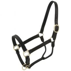 Tough-1 Leather Stable Horse Halter, Brown, 44-2021-2-0